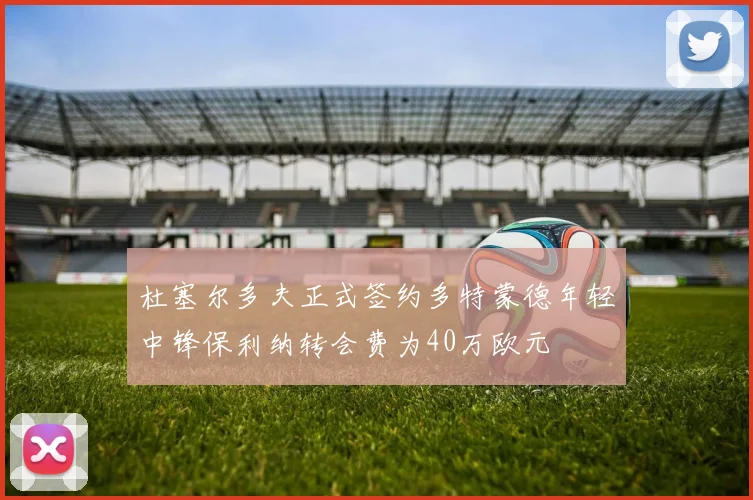 杜塞尔多夫正式签约多特蒙德年轻中锋保利纳转会费为40万欧元