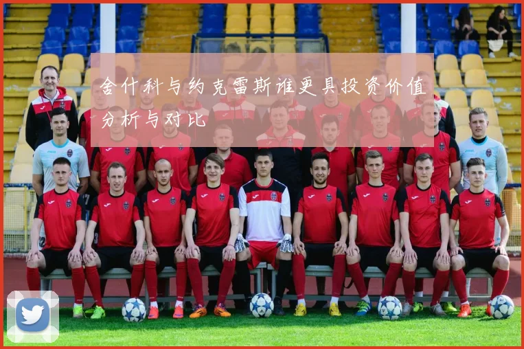 舍什科与约克雷斯谁更具投资价值分析与对比