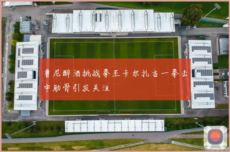 鲁尼醉酒挑战拳王卡尔扎吉一拳击中肋骨引发关注