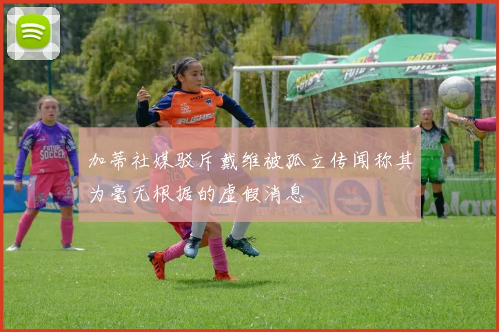 加蒂社媒驳斥戴维被孤立传闻称其为毫无根据的虚假消息