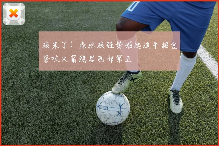 狼来了！森林狼强势崛起追平掘金紧咬火箭稳居西部第五