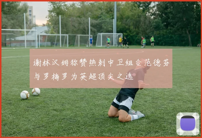 谢林汉姆称赞热刺中卫组合范德芬与罗梅罗为英超顶尖之选